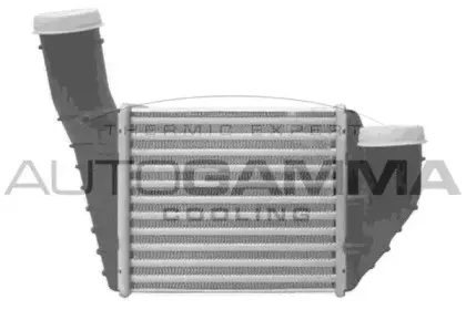 autogamma-103735