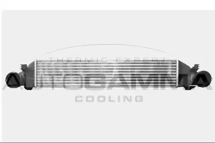 autogamma-103736