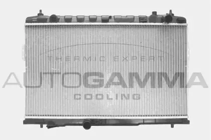 autogamma-103755