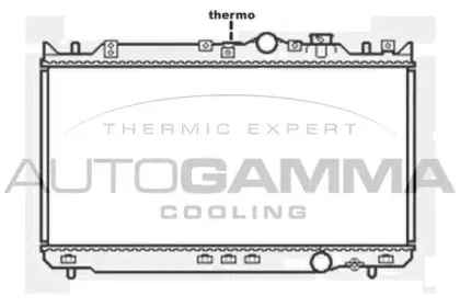 autogamma-103802