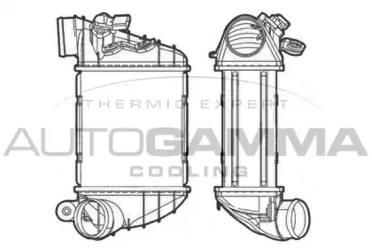 autogamma-103876