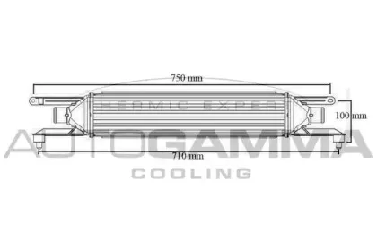 autogamma-103992