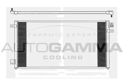 autogamma-104014