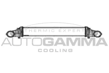 autogamma-104228