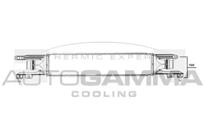 autogamma-104411