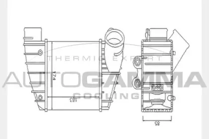 autogamma-104430