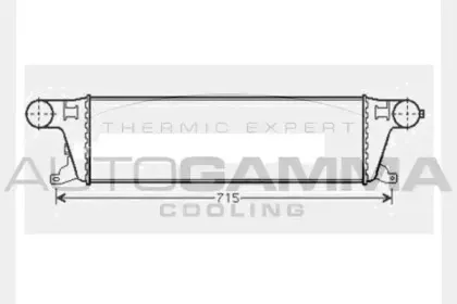 autogamma-104485