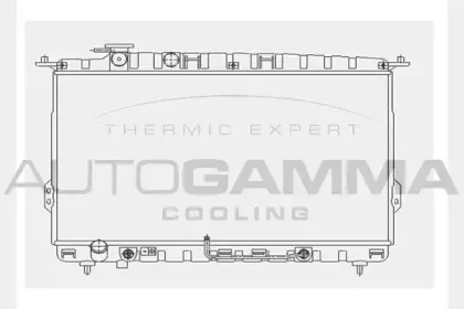 autogamma-104518