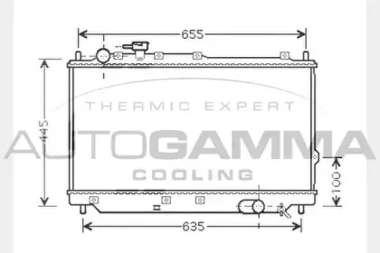 autogamma-104521