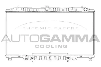 autogamma-104543