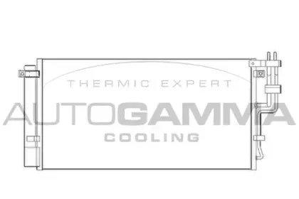 autogamma-104907