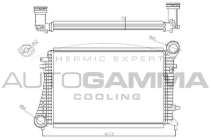 autogamma-104985