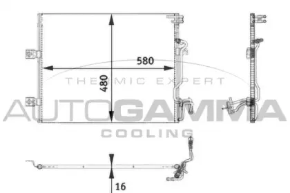 autogamma-105010