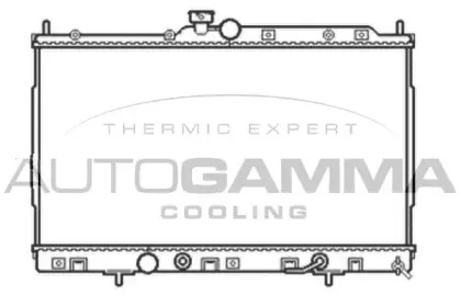 autogamma-105052