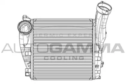 autogamma-105067