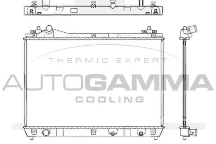 autogamma-105103