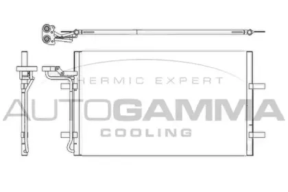 autogamma-105199