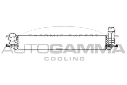 autogamma-105239