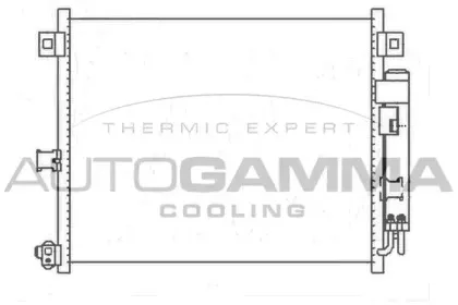 autogamma-105342