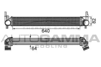 autogamma-105364