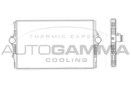 autogamma-105504