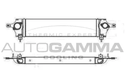 autogamma-105518