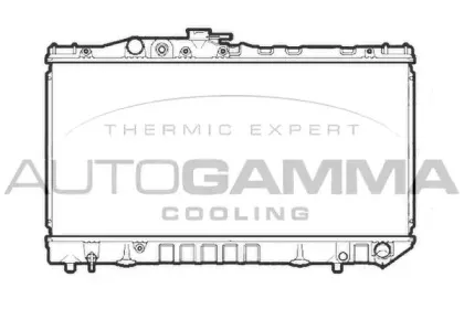 autogamma-105574