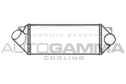 autogamma-105690
