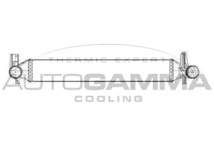 autogamma-105727