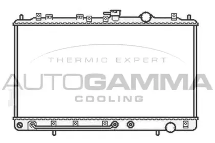 autogamma-105752