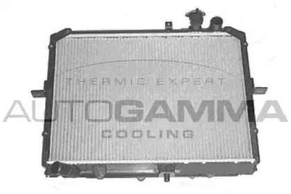 autogamma-105801