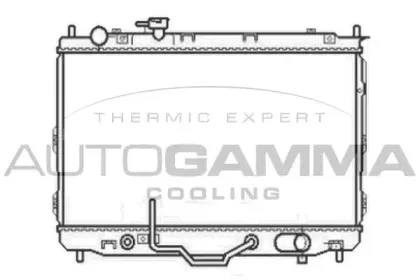 autogamma-105802