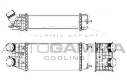 autogamma-105995