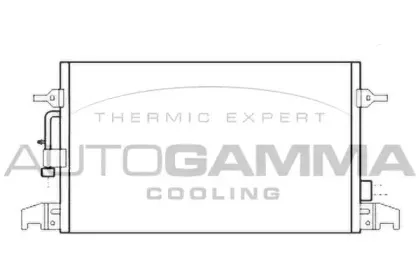 autogamma-107007