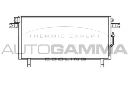 autogamma-107019