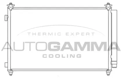 autogamma-107041