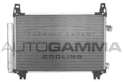autogamma-107097