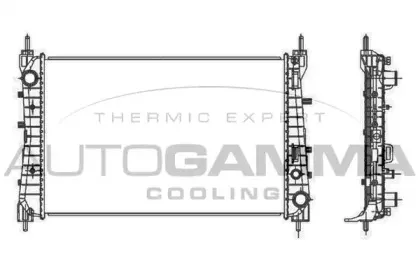 autogamma-107213