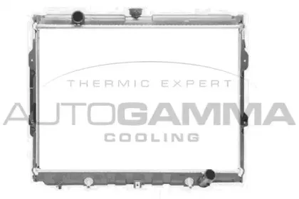 autogamma-107310