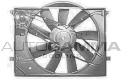 autogamma-ga200747