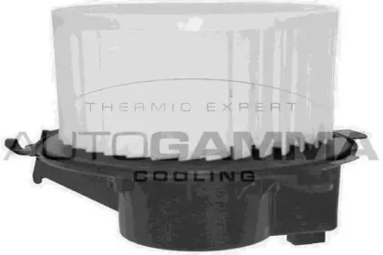 autogamma-ga20092
