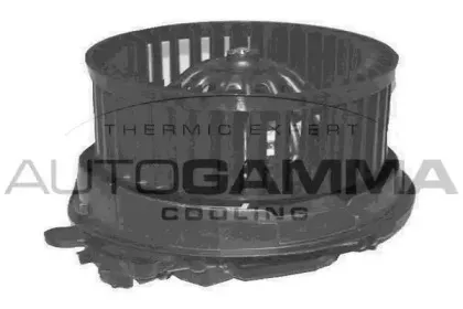 autogamma-ga20355