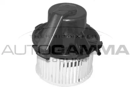 autogamma-ga36012