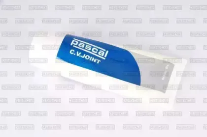 pascal-g11031pc