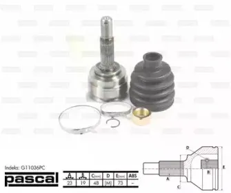 G11036PC PASCAL Шарнирный комплект, приводной вал