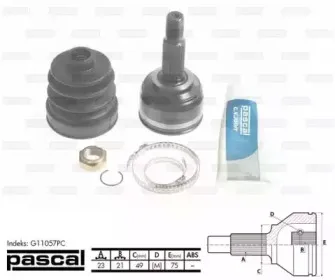 G11057PC PASCAL