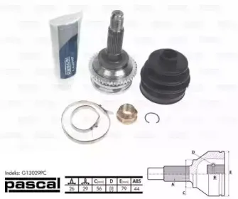 pascal-g13029pc