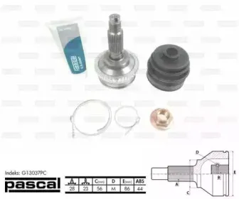 pascal-g13037pc