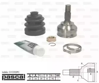G1C022PC PASCAL