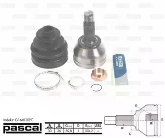 pascal-g1m010pc